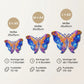 Der Sanfte Schmetterling